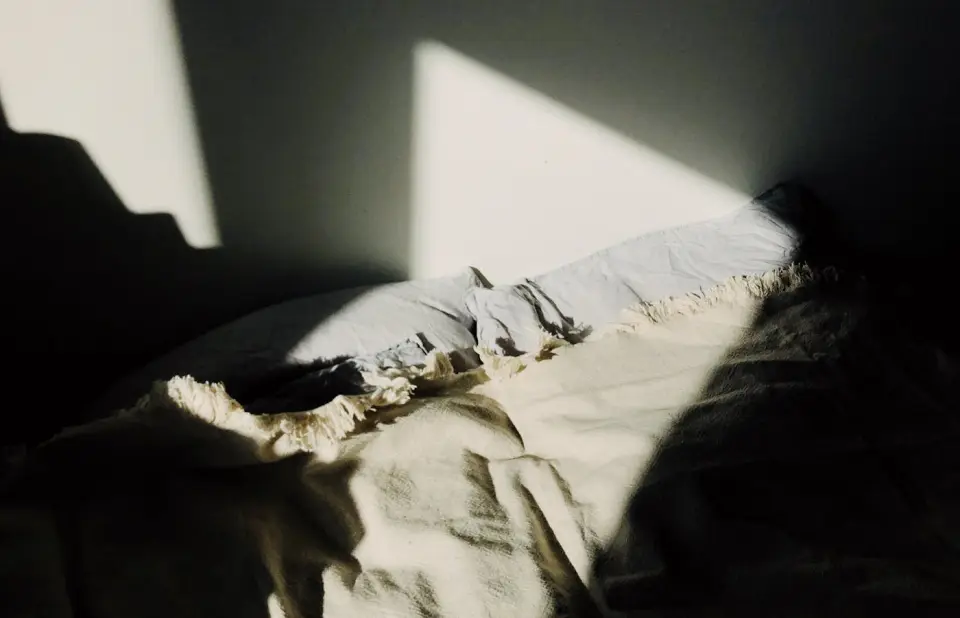 Morning light across a calm bed.